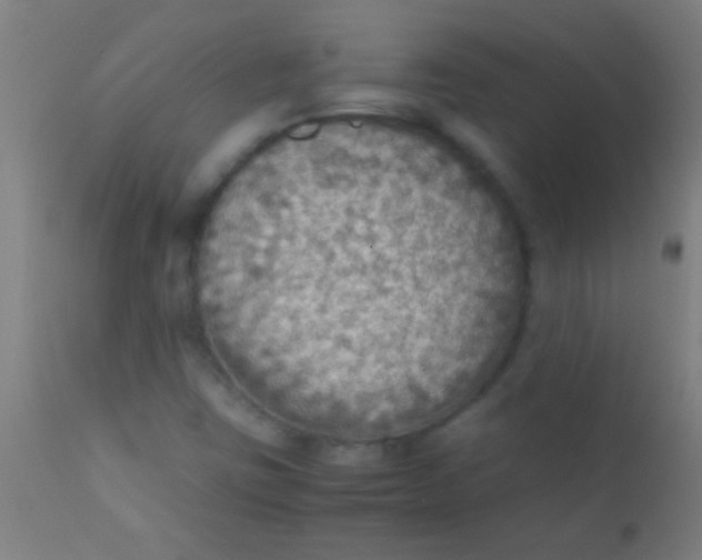 X0000110711403200907022011