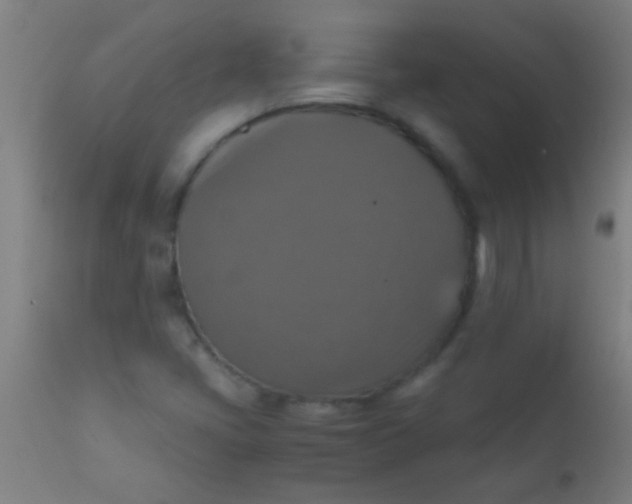 X0000110711405200907022011