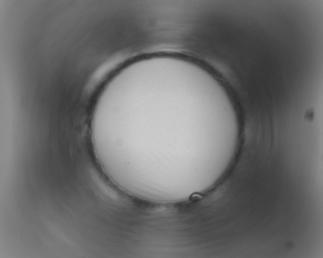 X0000110711406200907022011