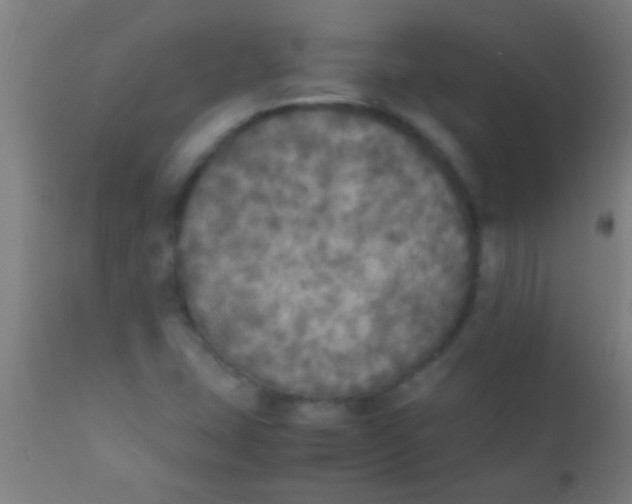 X0000110711407200907022011