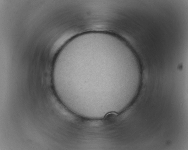 X0000110711410200907022011