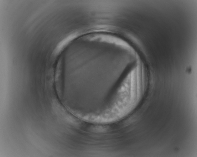 X0000110711411200907022011