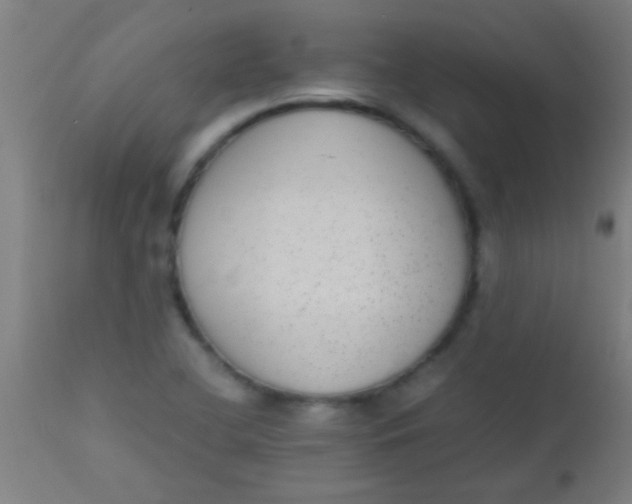 X0000110711412200907022011