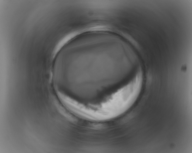 X0000110711413200907022011