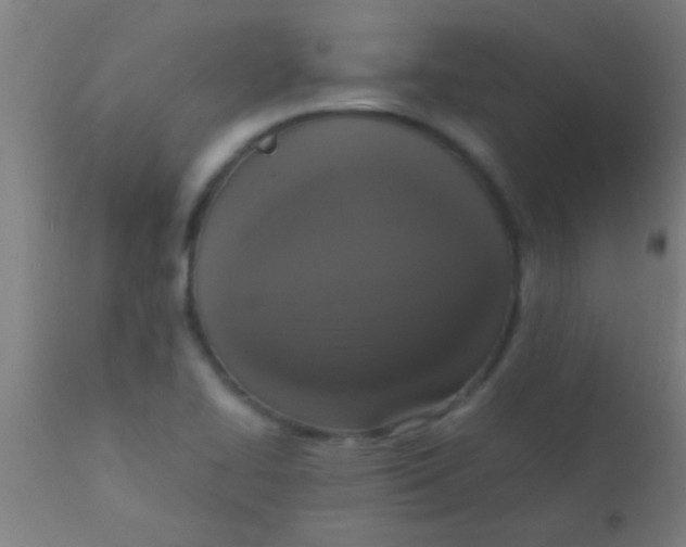 X0000110711414200907022011
