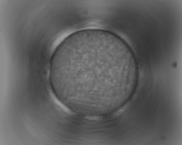 X0000110711415200907022011