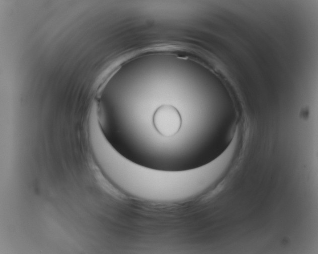 X0000110711417200907022011