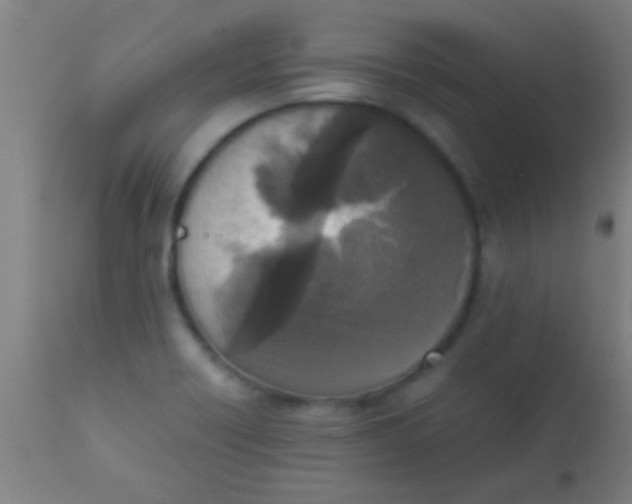 X0000110711418200907022011