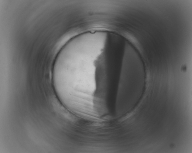 X0000110711419200907022011