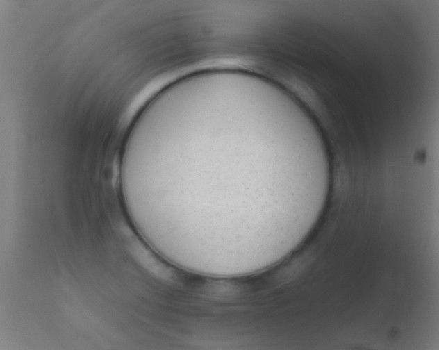X0000110711420200907022011