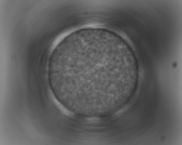 X0000110711421200907022011