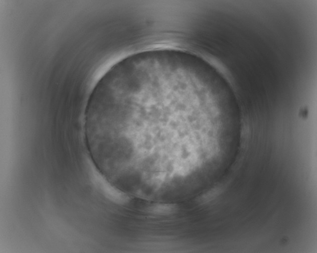 X0000110711423200907022011