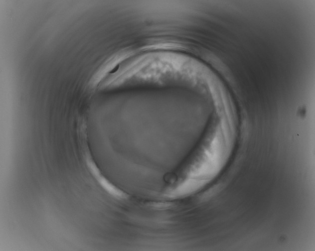 X0000110711425200907022011