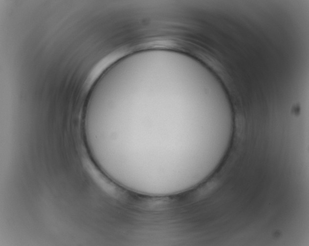 X0000110711426200907022011