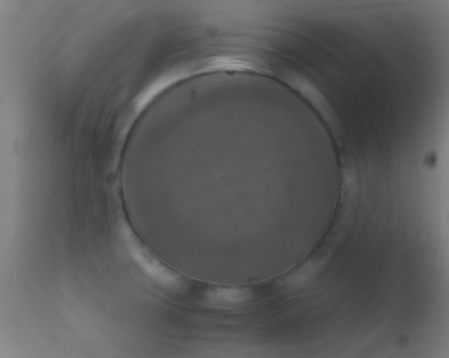 X0000110711427200907022011
