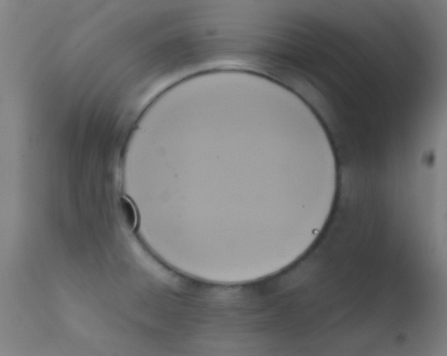 X0000110711428200907022011