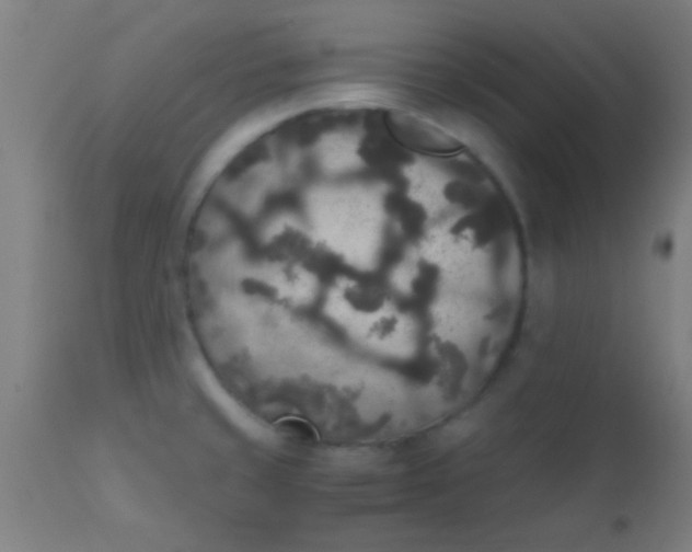 X0000110711429200907022011