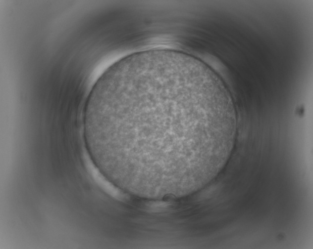 X0000110711431200907022011