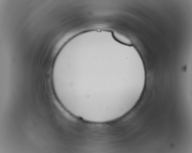 X0000110711432200907022011