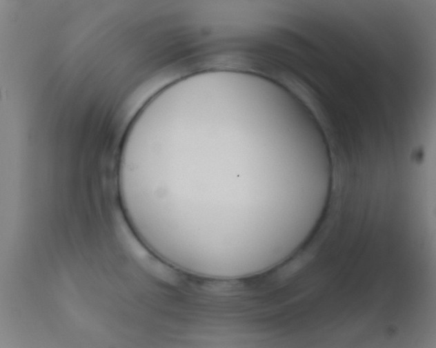 X0000110711434200907022011