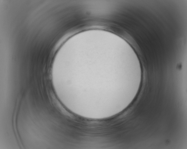 X0000110711436200907022011