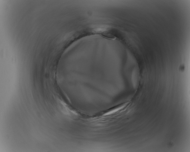 X0000110711441200907022011