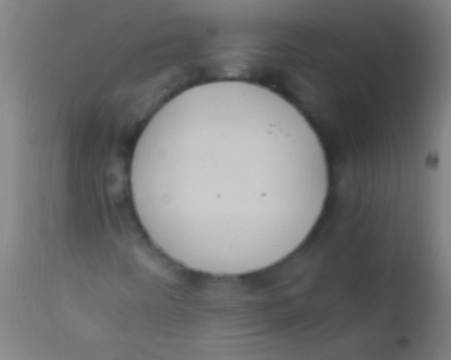 X0000110711442200907022011