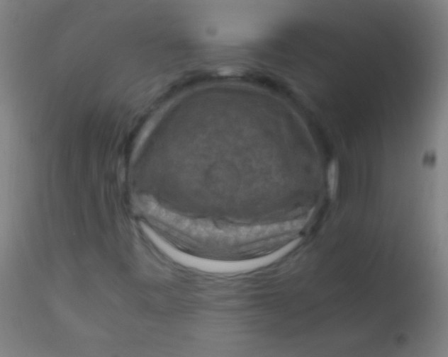 X0000110711443200907022011
