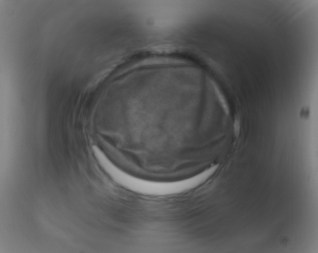 X0000110711444200907022011