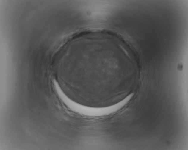 X0000110711445200907022011
