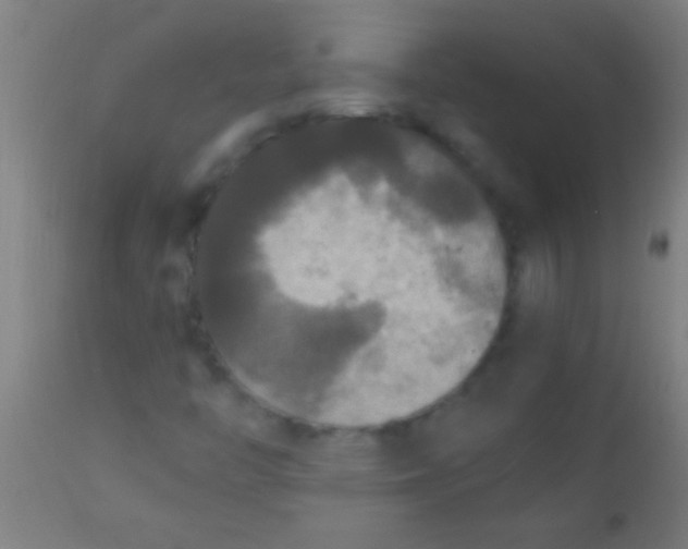 X0000110711446200907022011