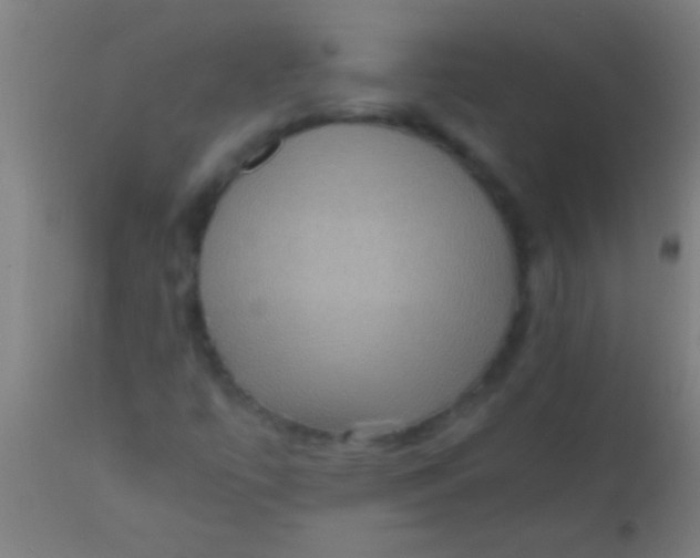 X0000110711447200907022011