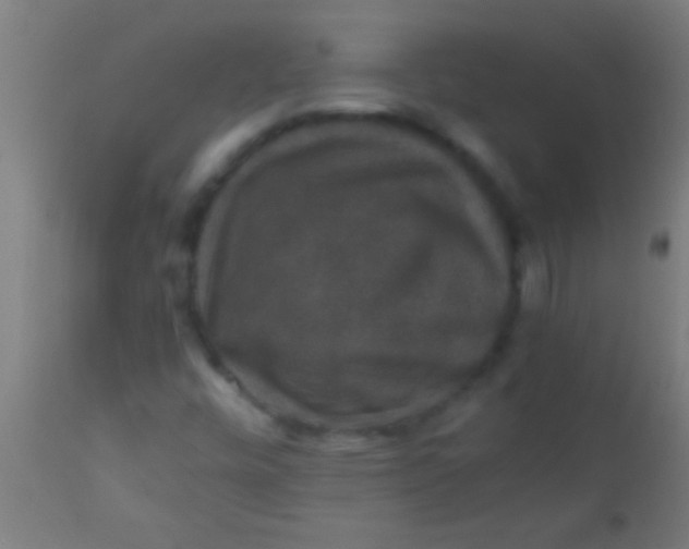 X0000110711448200907022011