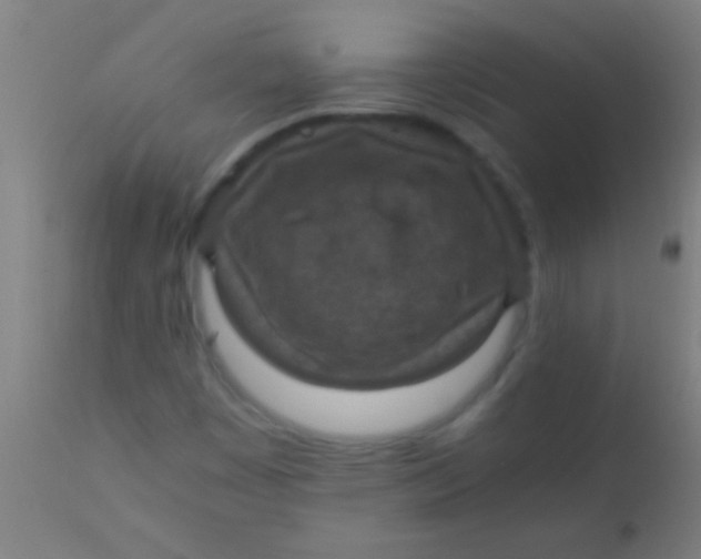 X0000110711449200907022011