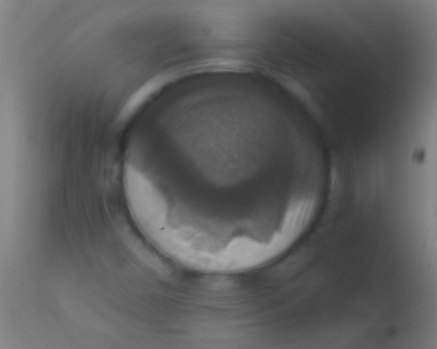 X0000110711450200907022011