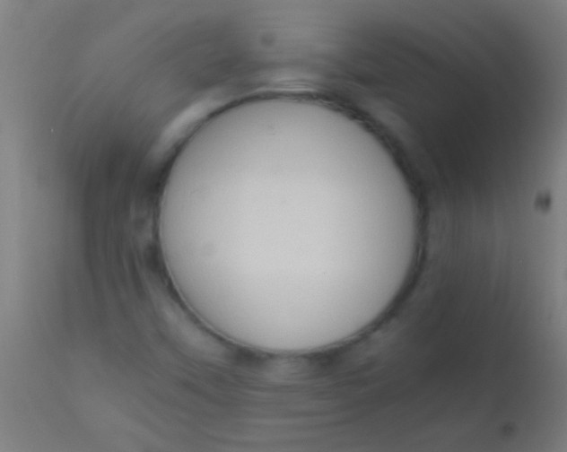 X0000110711451200907022011