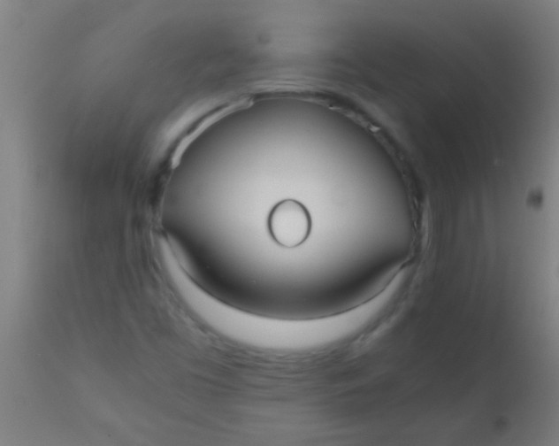 X0000110711453200907022011