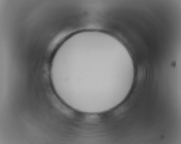 X0000110711454200907022011