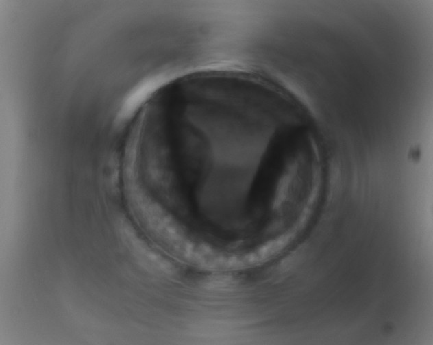 X0000110711455200907022011