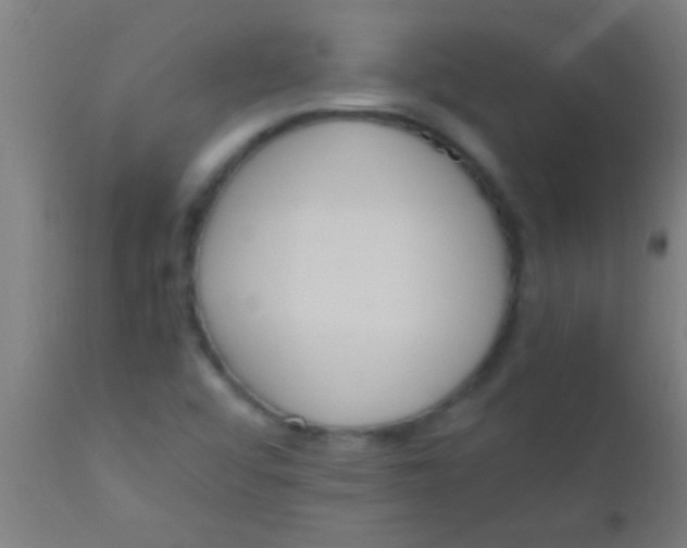 X0000110711456200907022011