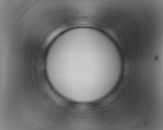 X0000110711458200907022011