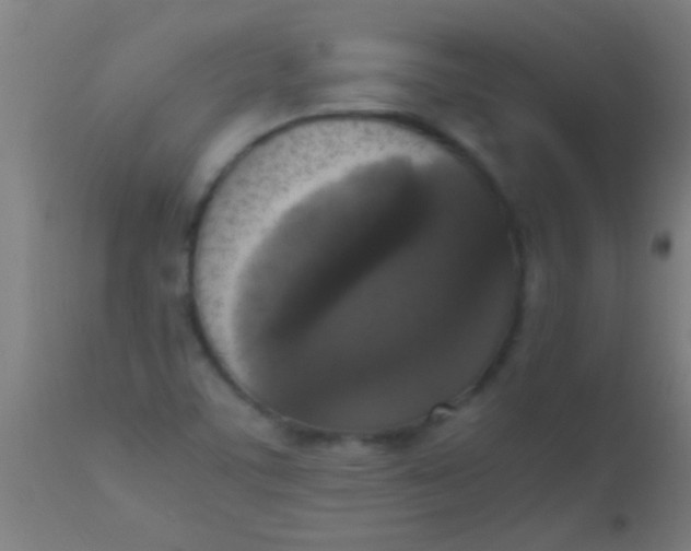 X0000110711459200907022011