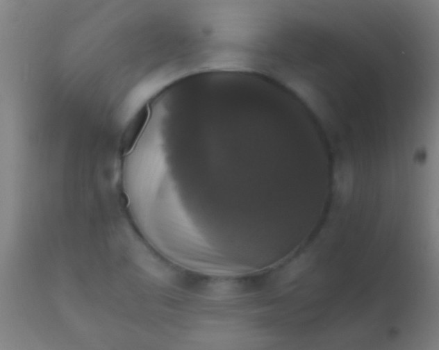 X0000110711461200907022010