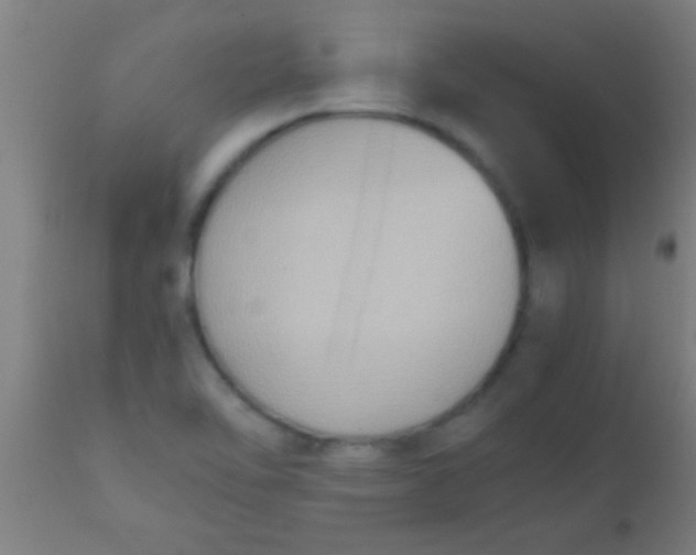 X0000110711462200907022010