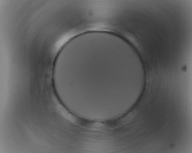 X0000110711463200907022010