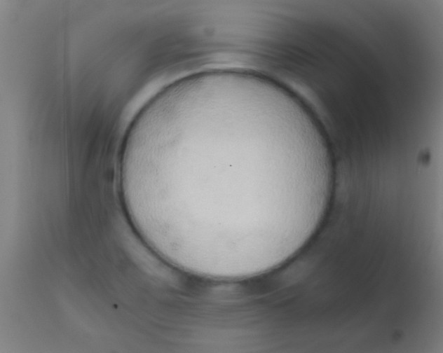 X0000110711467200907022010