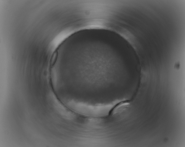 X0000110711469200907022010