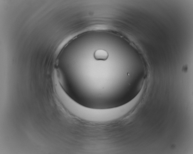 X0000110711473200907022010