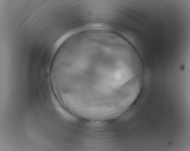 X0000110711474200907022010