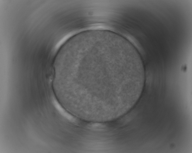 X0000110711476200907022010
